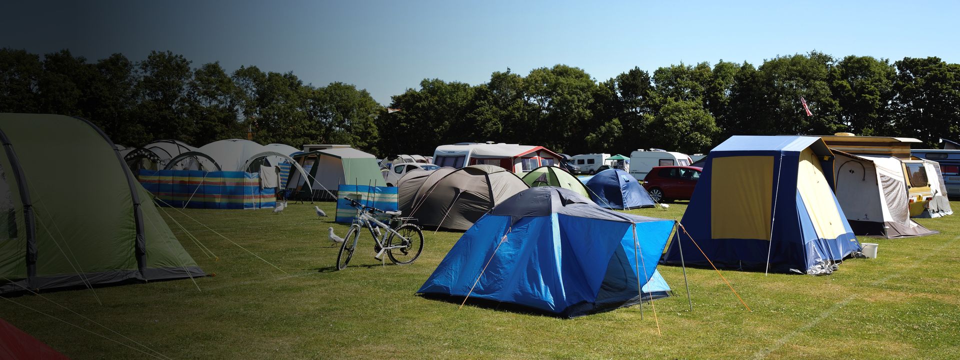 Tents at a field campsite