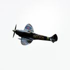 Spitfire