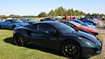 Display Vehicles and Dealers