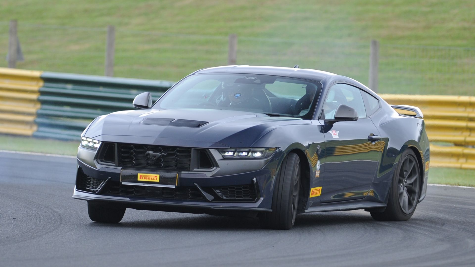 Paul Swift Black Mustang