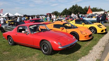 Paddock